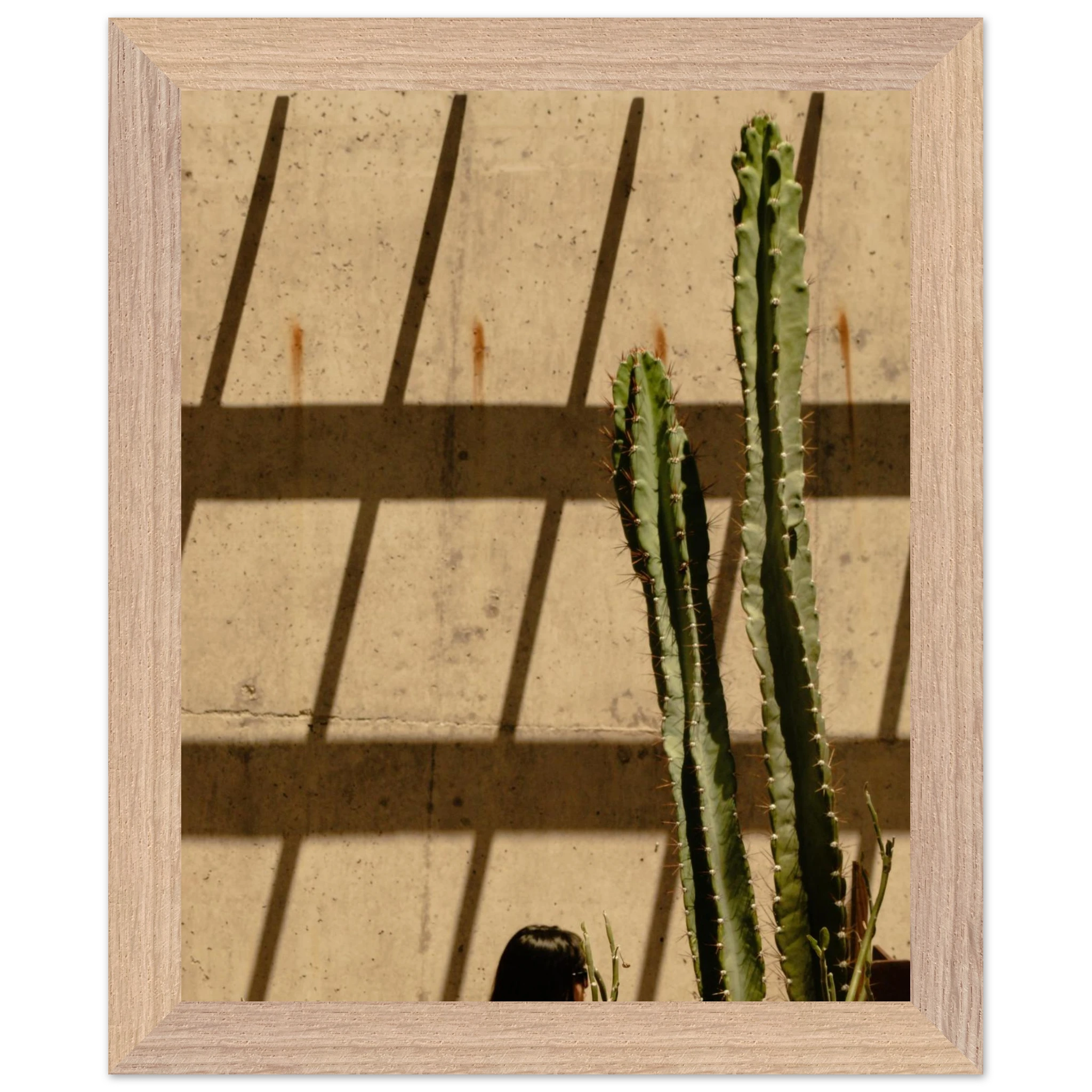 dd0267e5-84dd-4ef1-ad18-7109eeb74b93