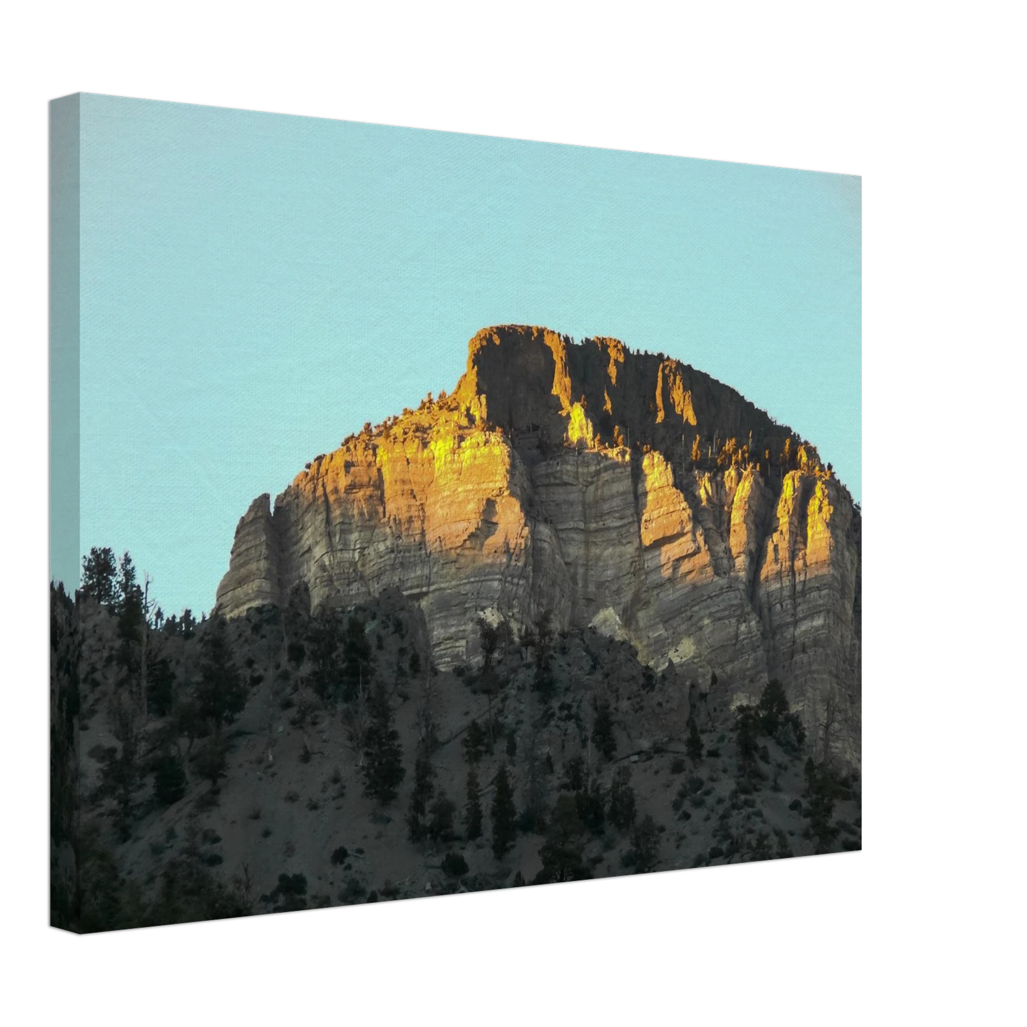 dd25e5d1-b91e-4e6e-a882-b77bec70afb2