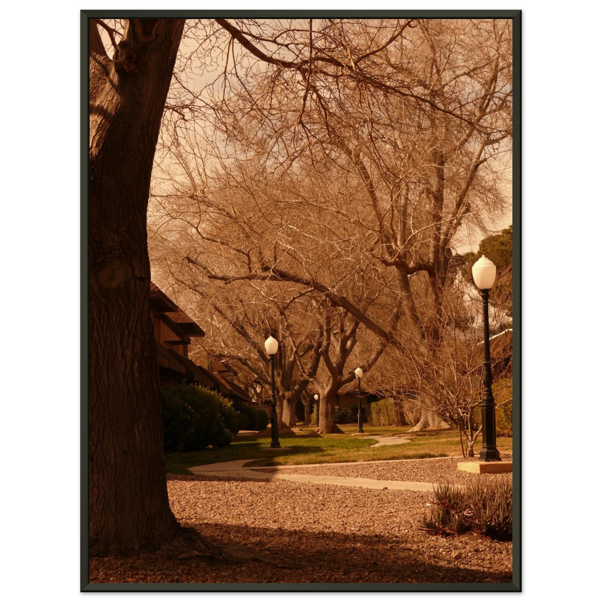 de11ce56-1115-4e57-9f8a-a5108dc91359