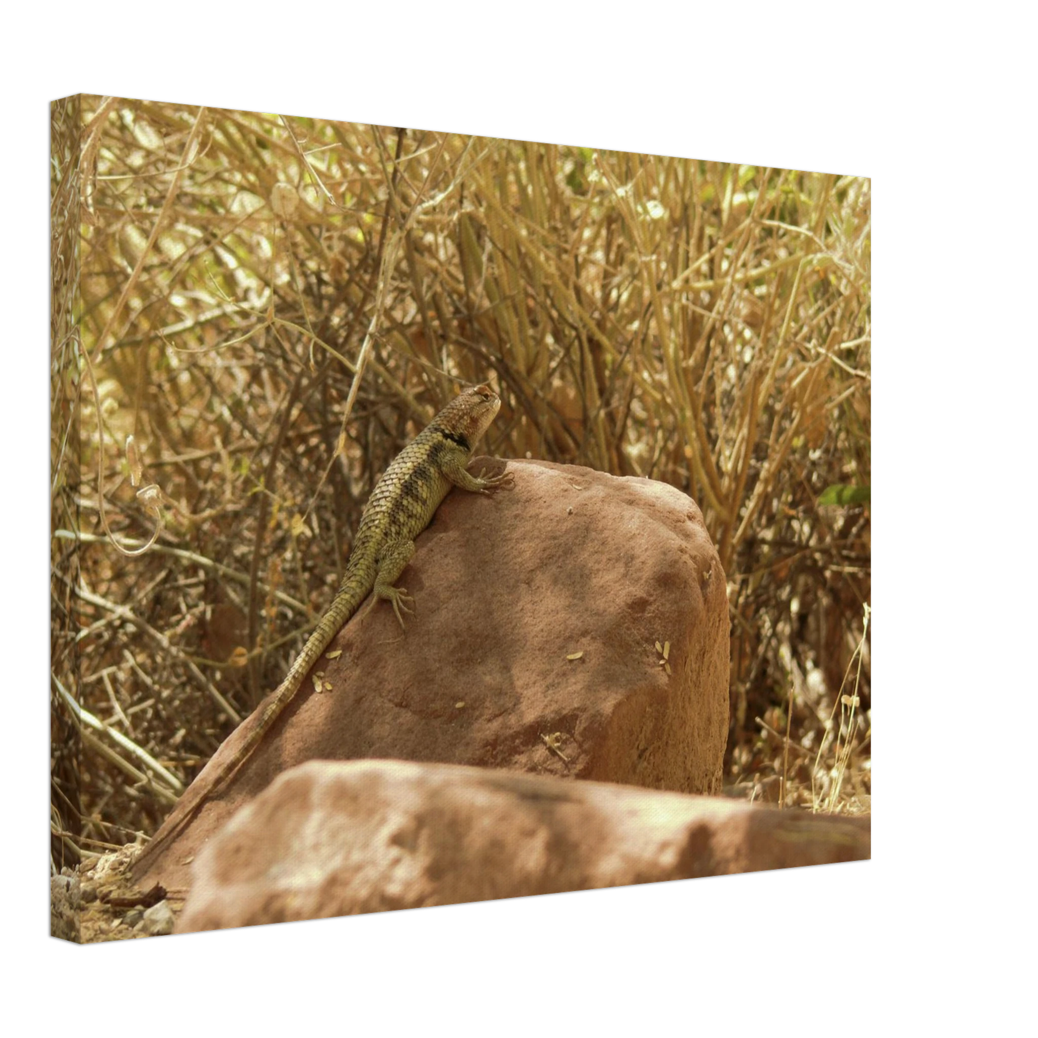 e055edaf-2d88-4e8b-b593-a6d9df69d534