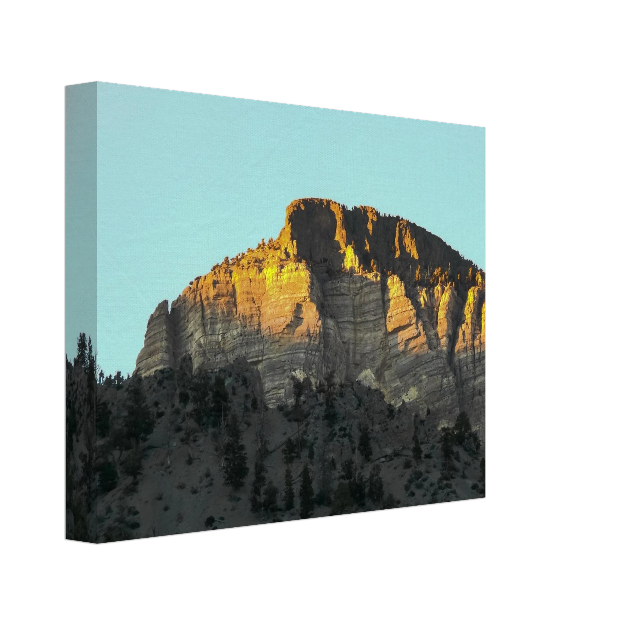 e086559b-b2a6-499e-be1c-da7868623781