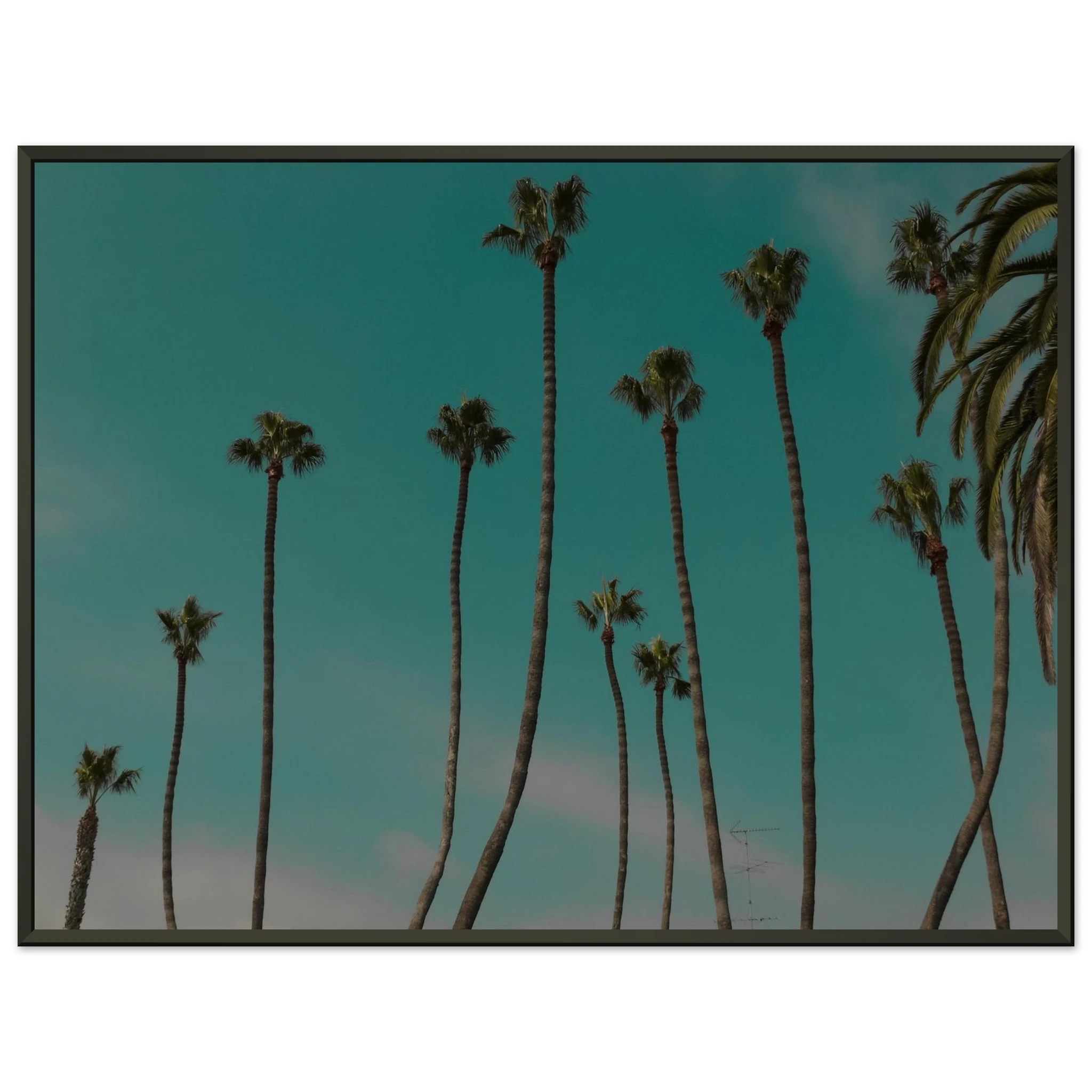 e0cc099e-5e0e-40e4-90b4-a1dfdeadffa5