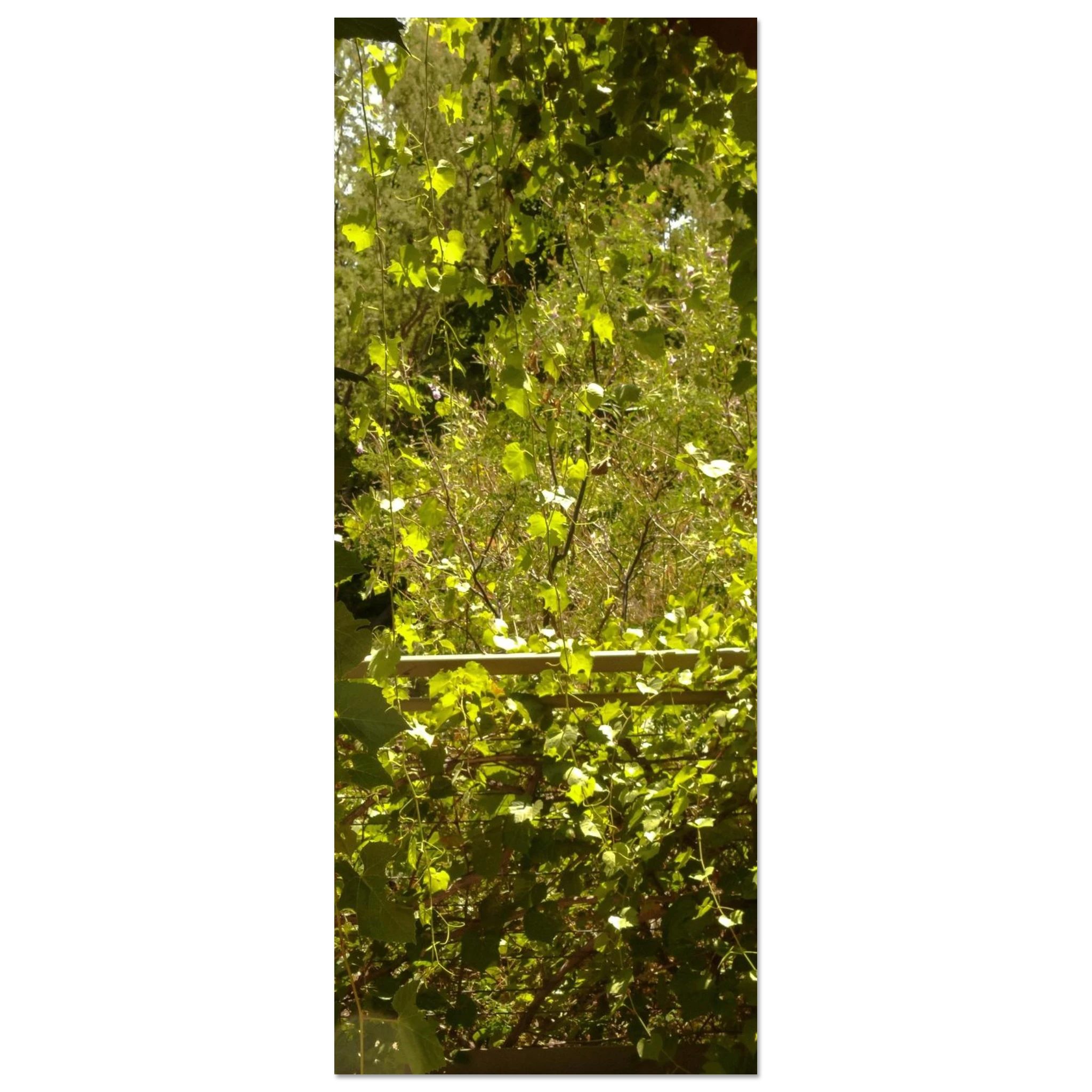 e84d544d-7b9a-4a1f-b856-c2accfc80c4e