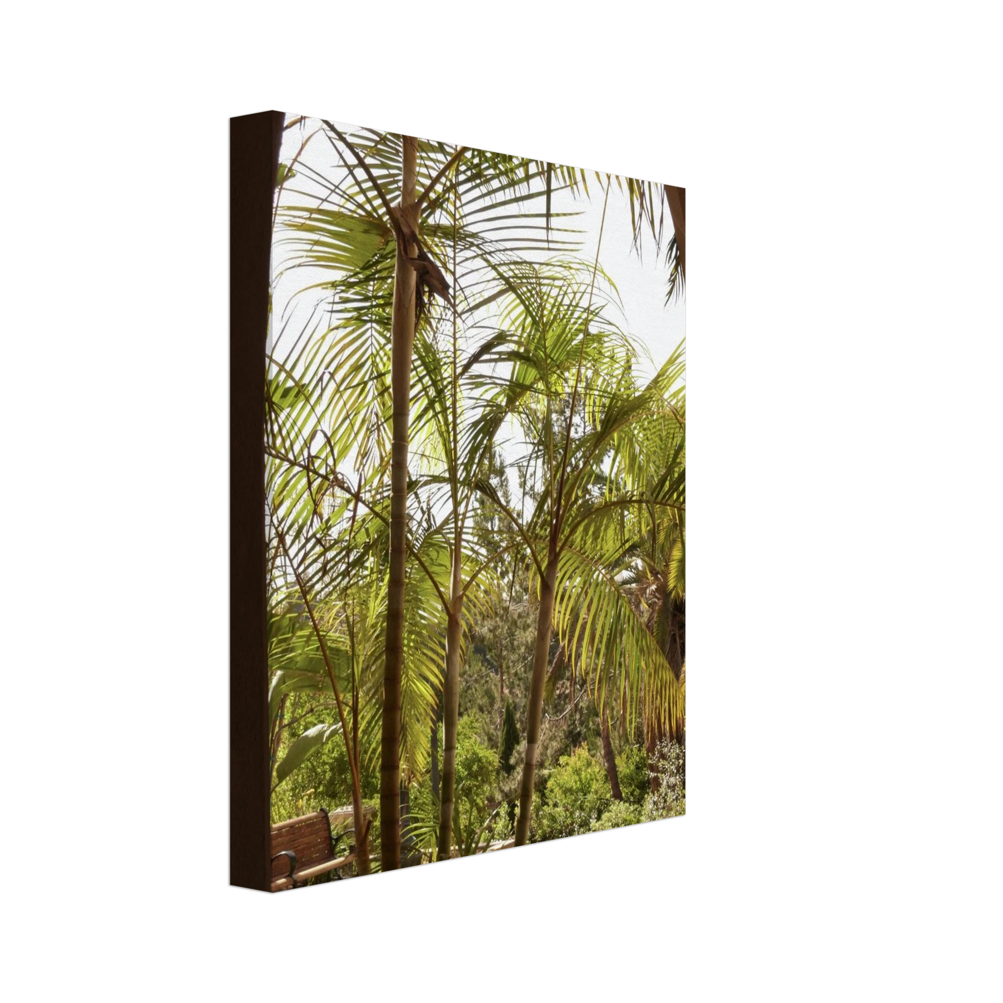 e869bcaa-dfba-43fc-a45d-b55f23068f0e