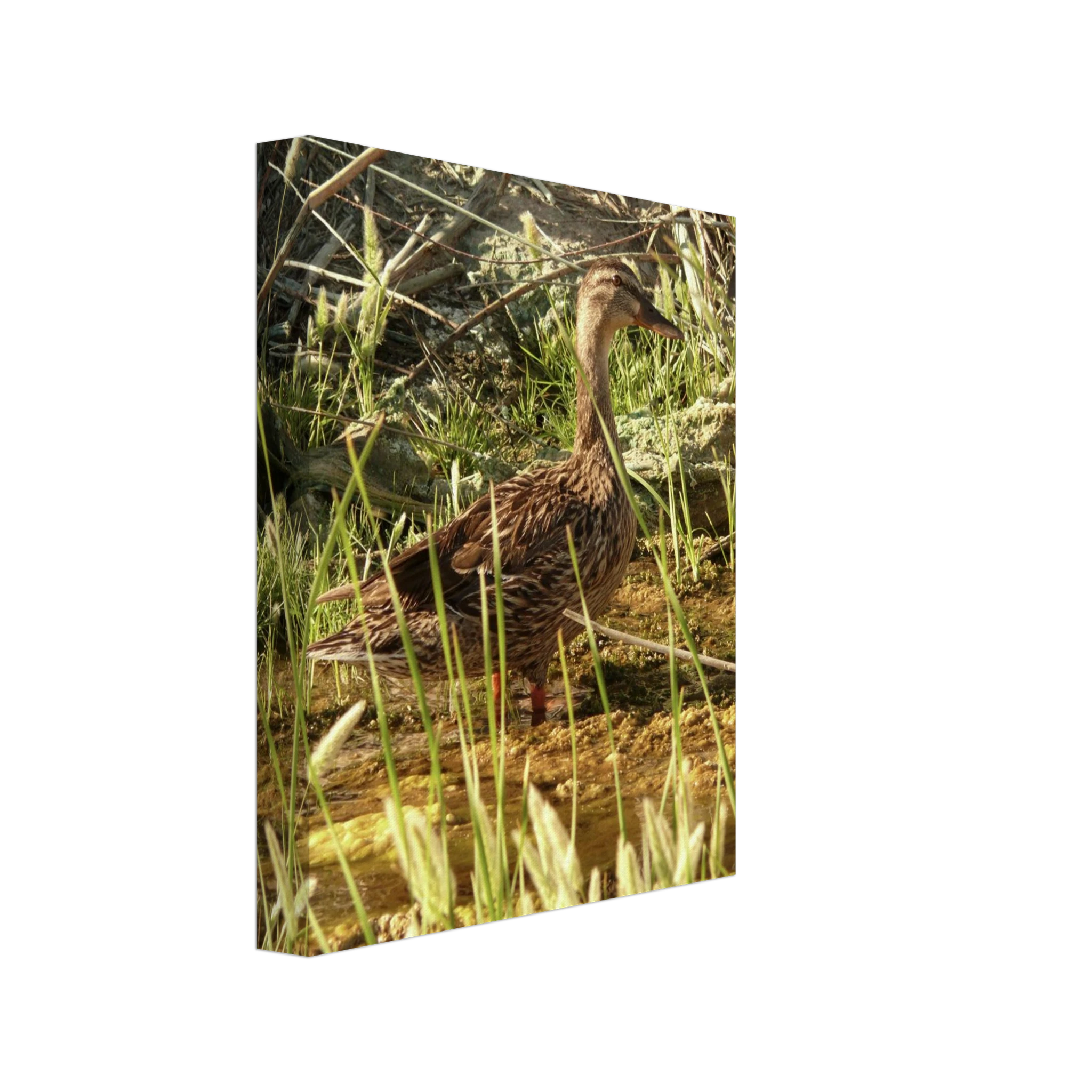 e91f8a96-3573-42be-b026-738715e6f5a3