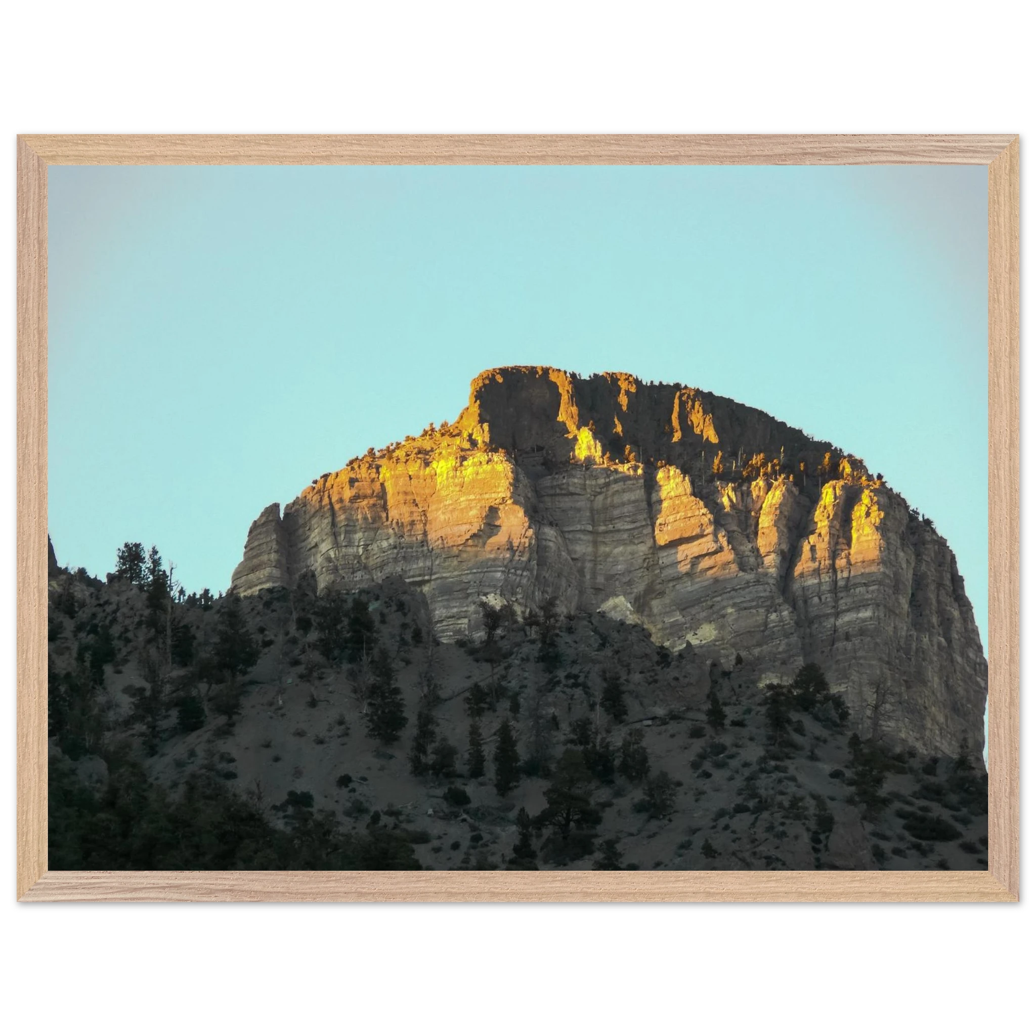 ea848f00-c154-459d-89eb-b9386261a0d0