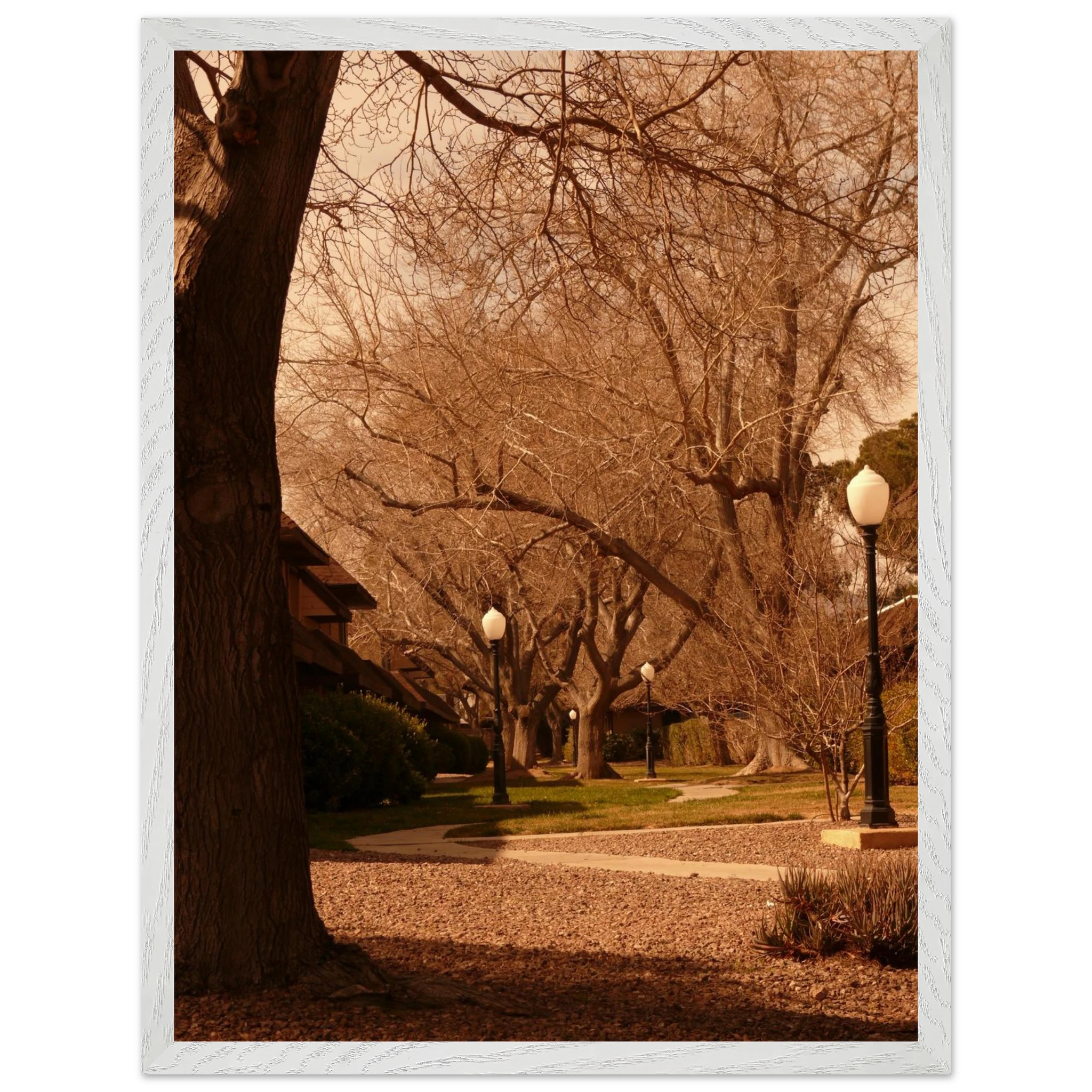 eaaa20a9-b688-44c2-82cf-e49e2035a69b