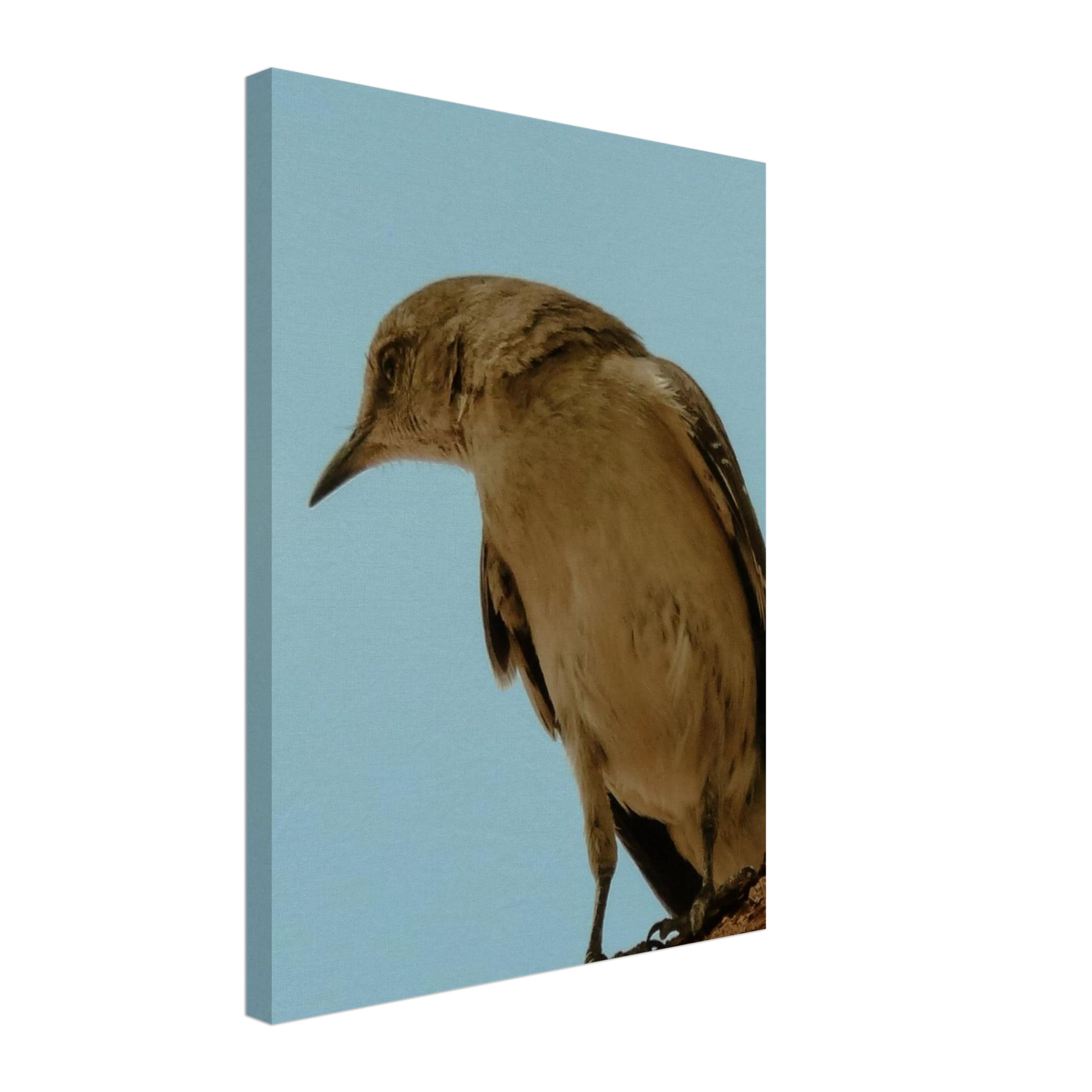 eaaeaa91-f4ff-414c-b507-0f1e7db1156b