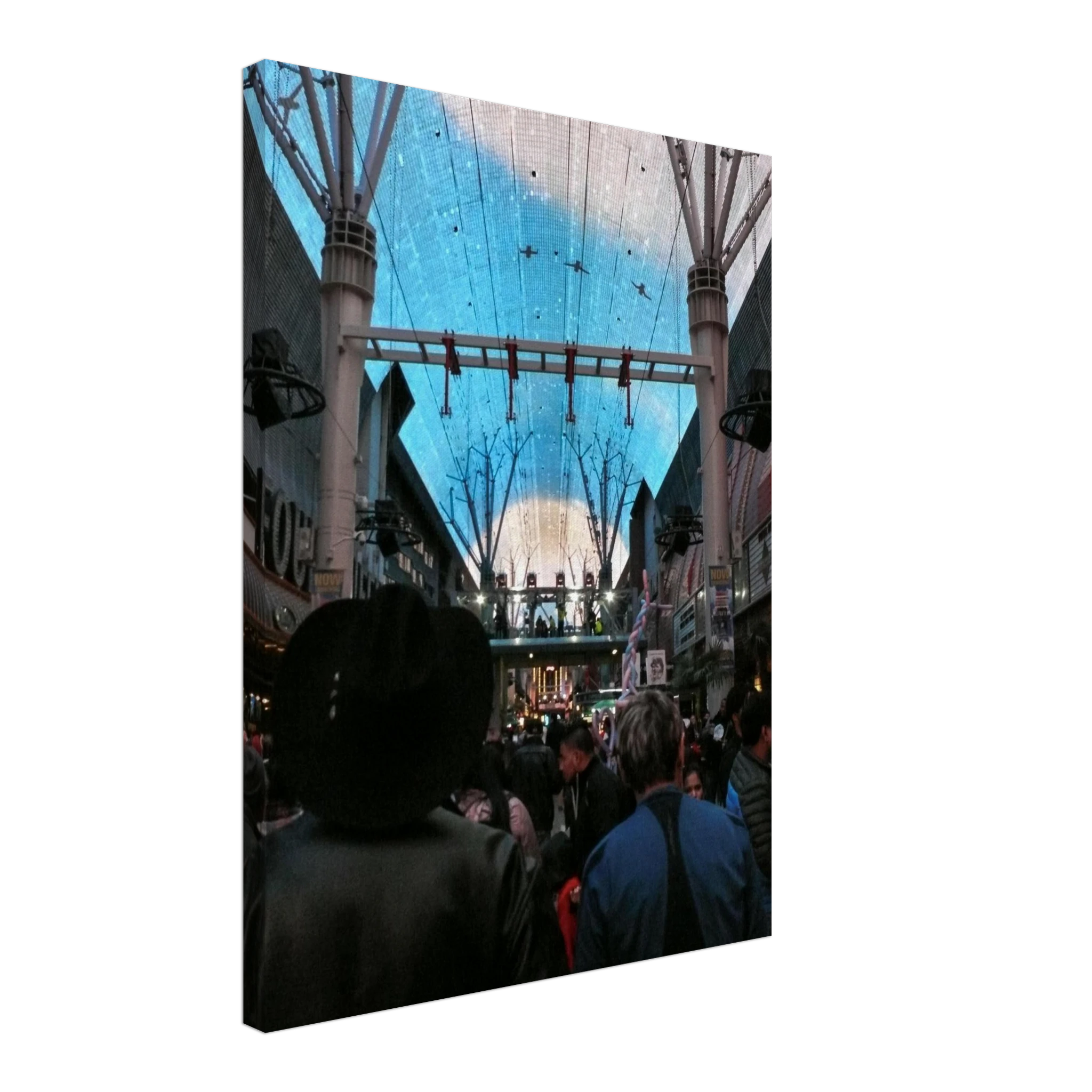 ee61f3e5-3e38-4d55-bd67-f9806d1e8c03