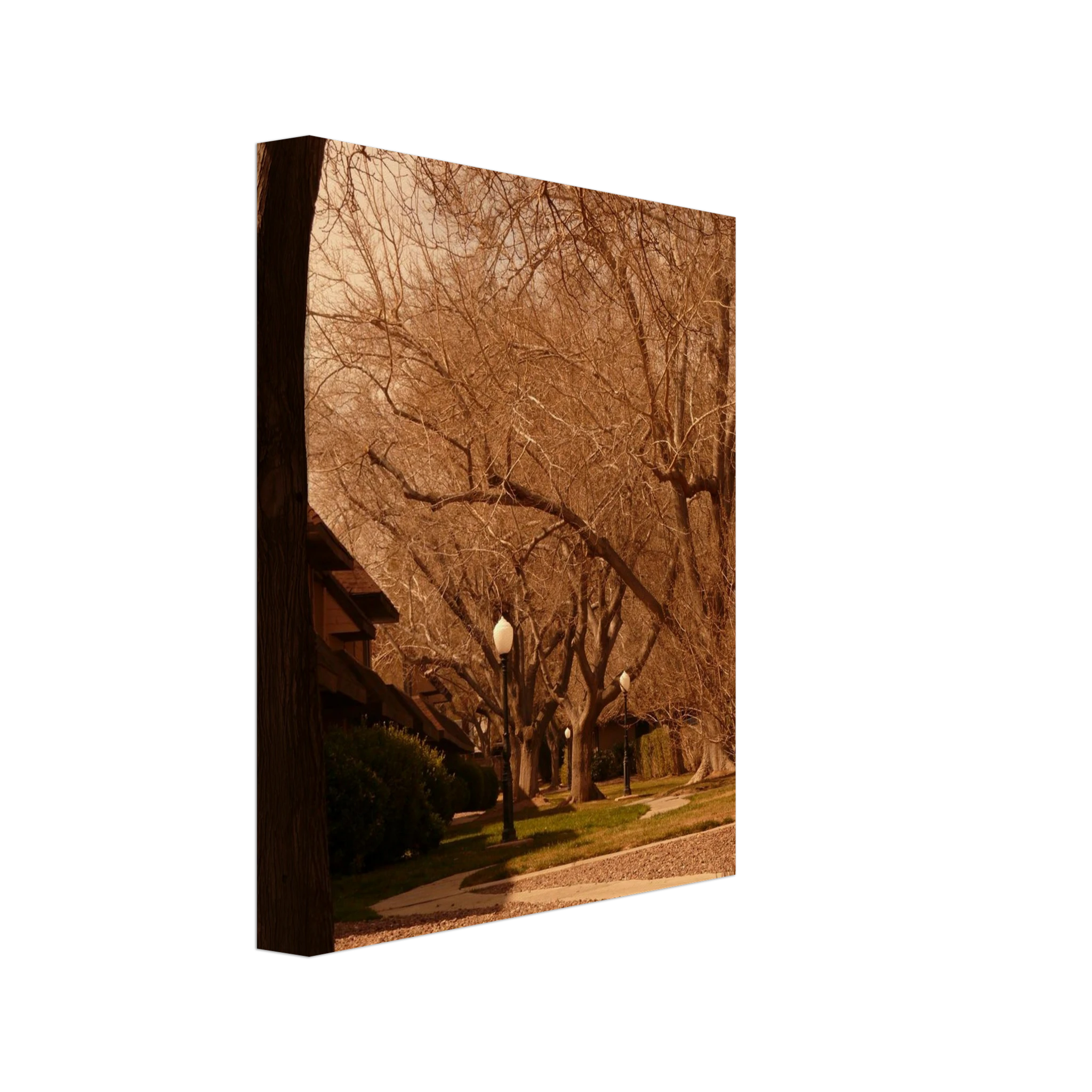 ee6a8c40-bd33-41f9-8d08-175894f69fa3