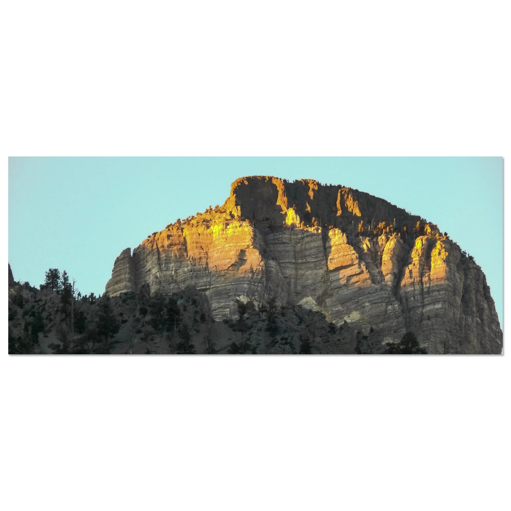 f062d7b3-0181-4255-b675-0841bcac820f