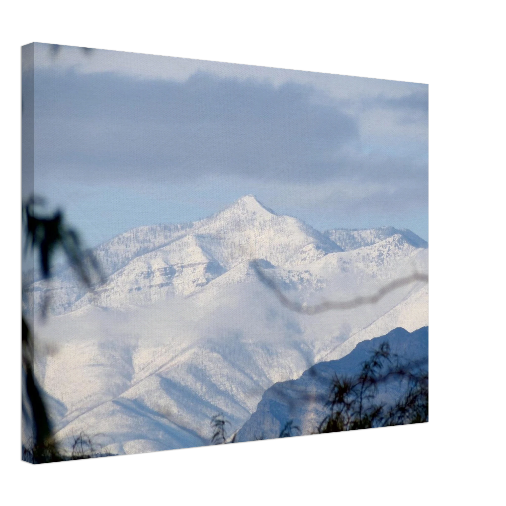 f20b5c31-86ec-4189-967f-e60f0fa2aa3b