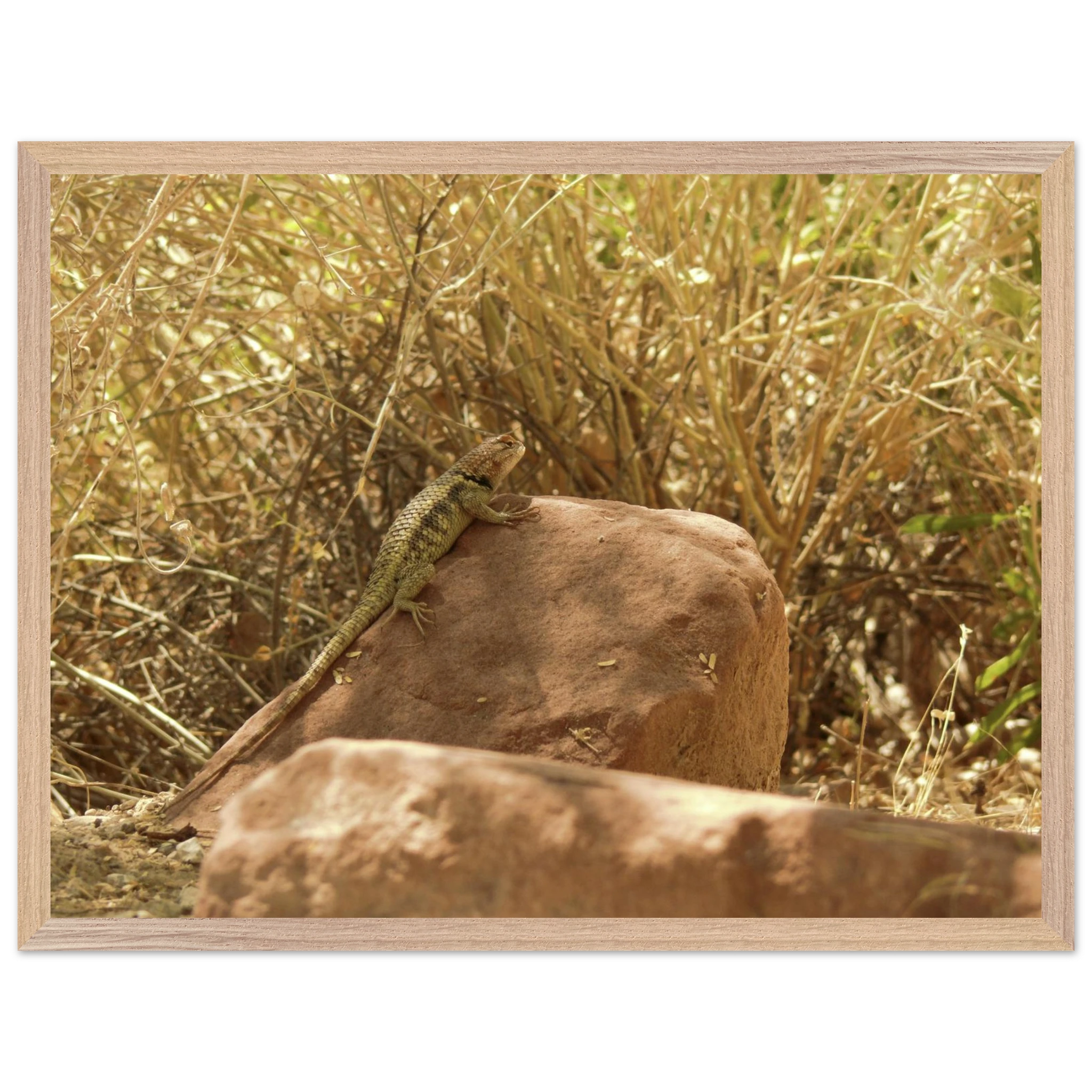 f4d8f62b-ac6a-4cef-8fce-f4fbf893fe26