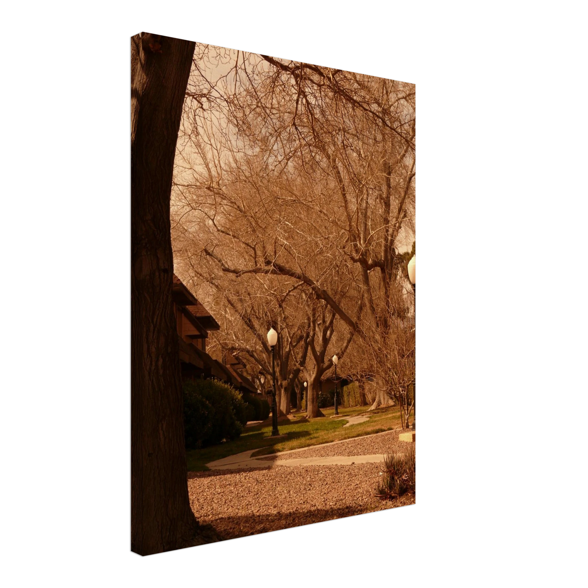 f55cc93c-8083-4ee8-a9a4-99c1c0ddf3df