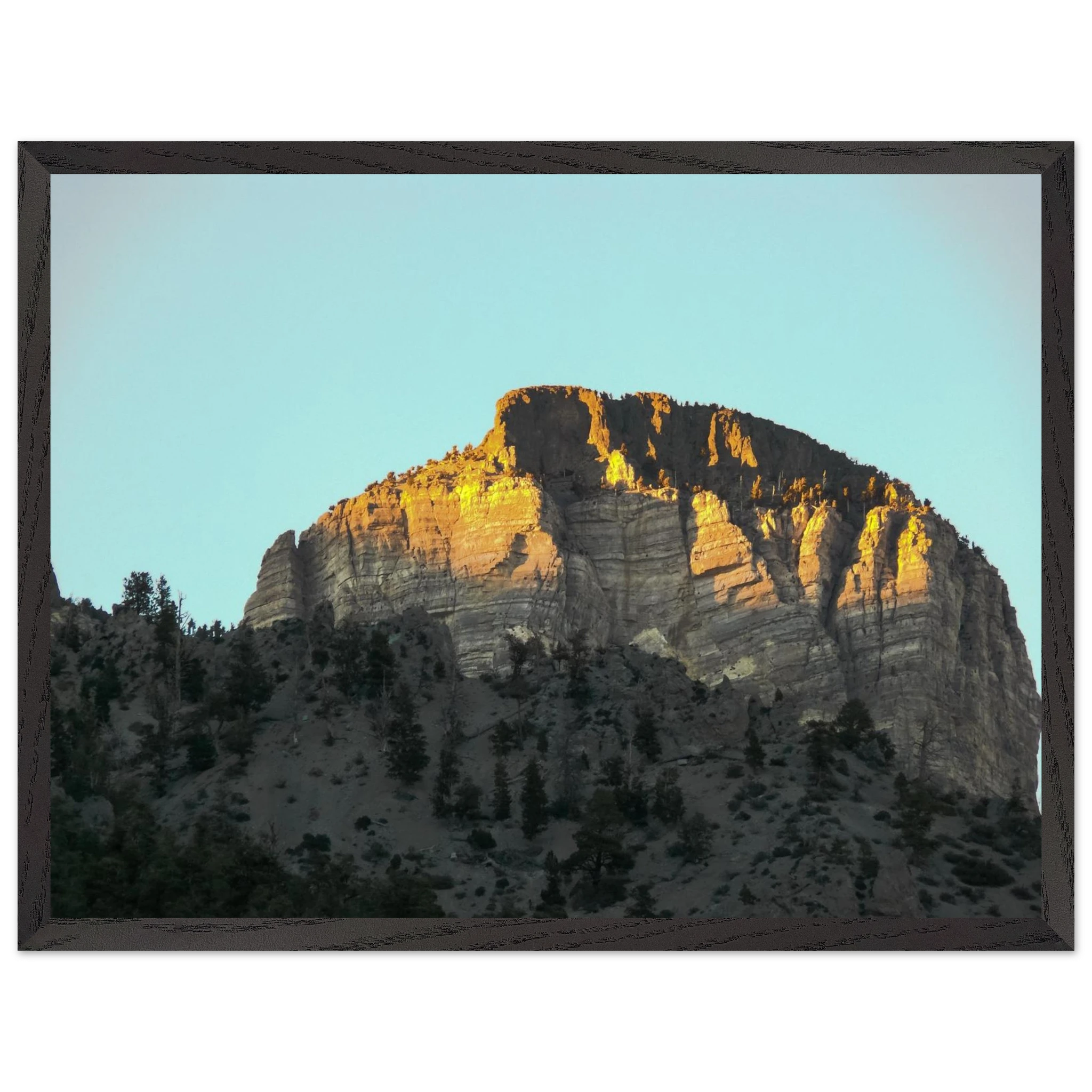 f5b64cc7-c038-471d-b2d9-d3e44389a538