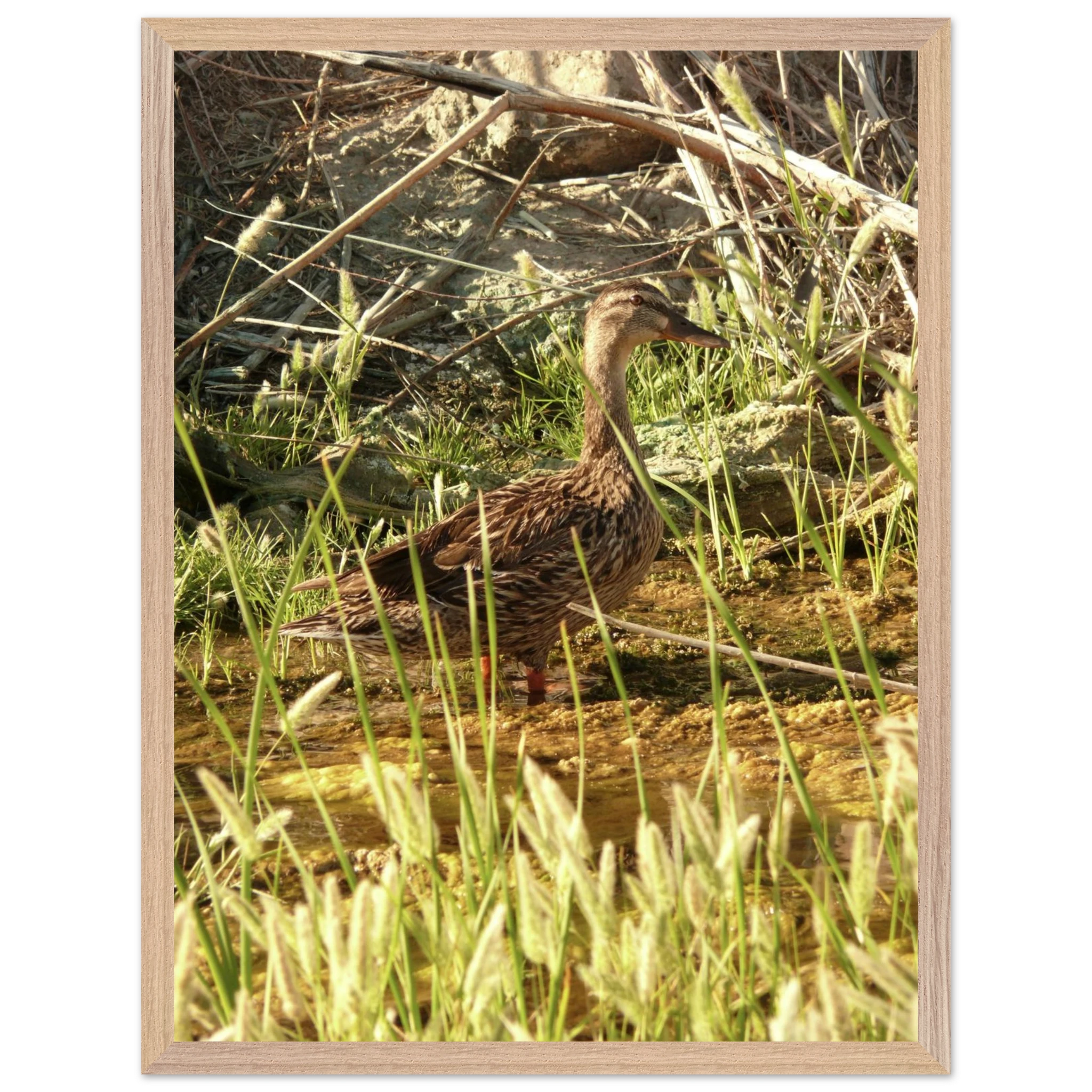 f8bee811-be9f-4d76-b1e9-ea6535e89baa