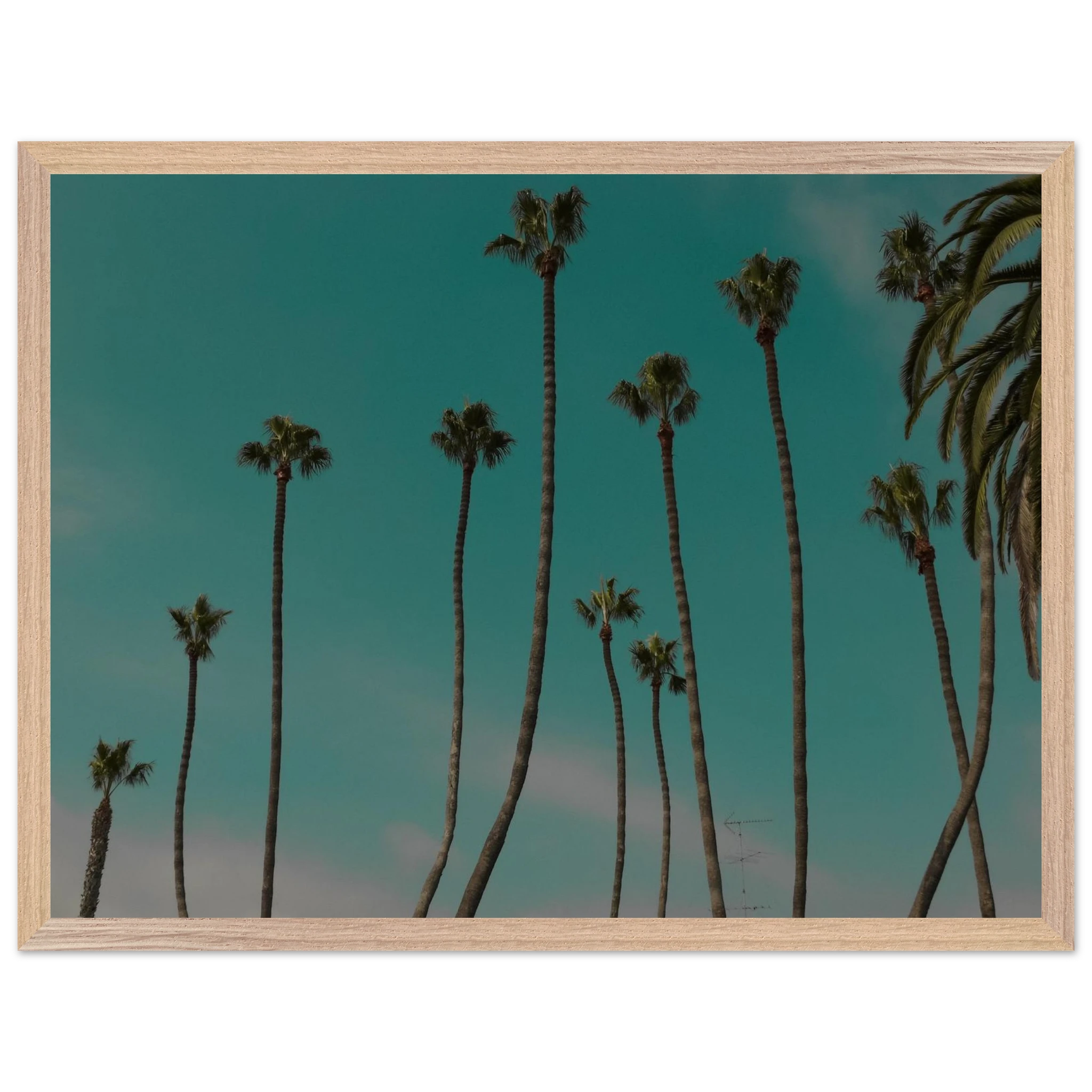 faf5ad00-0903-4526-88ca-dd98a490877b