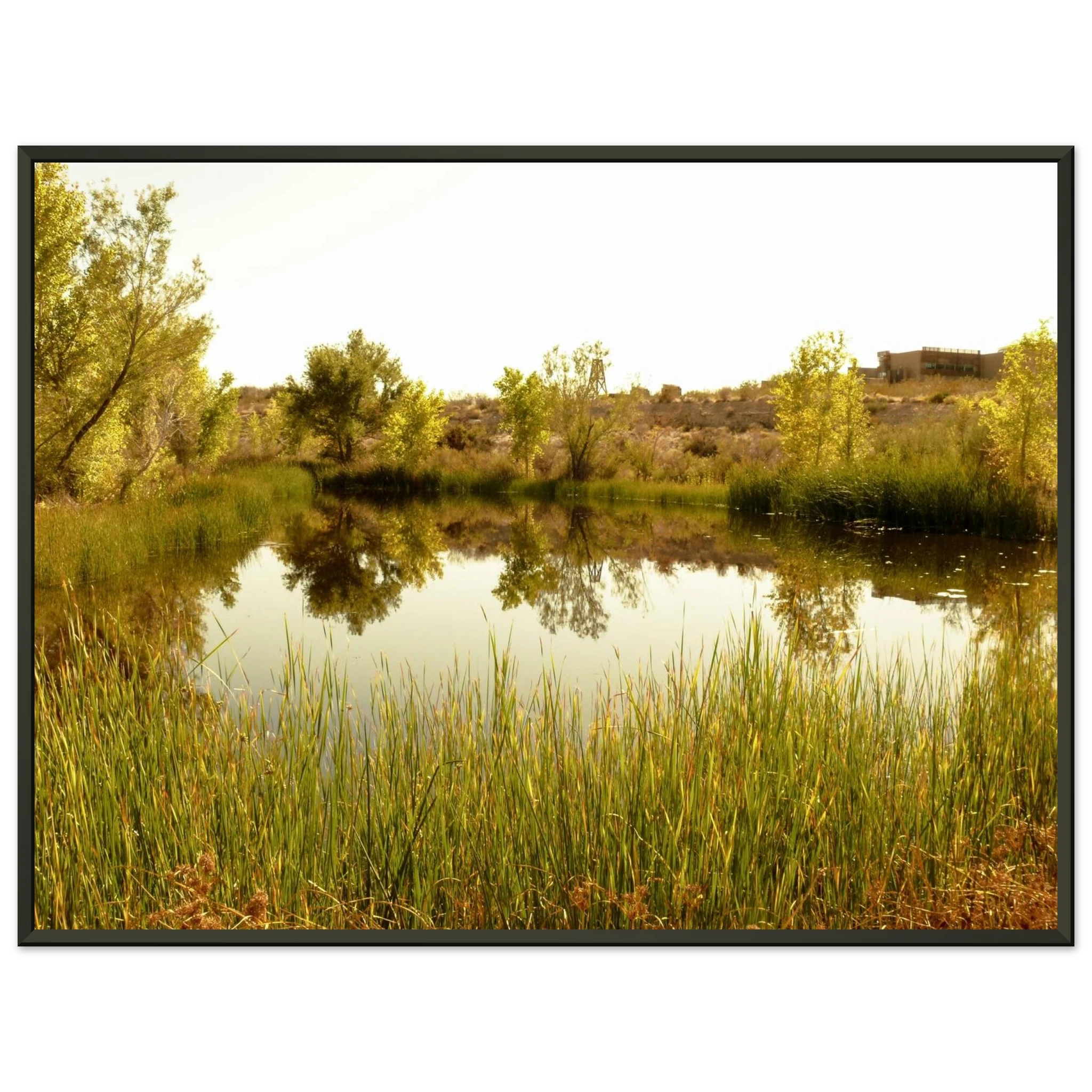 fb72420b-f46e-4681-8dcf-f5f1d827ade8