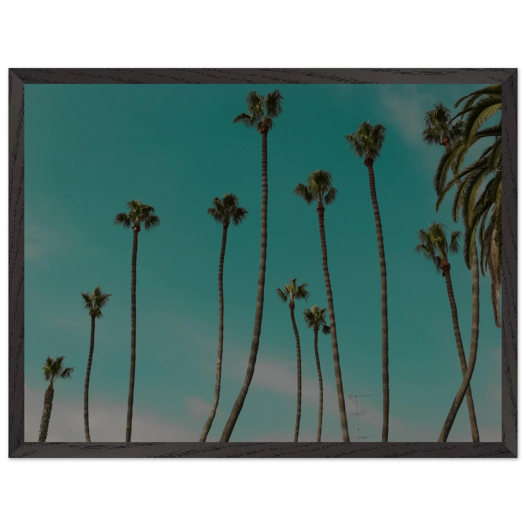 fd4c0789-2f0e-4a58-be93-2393e6de5d70