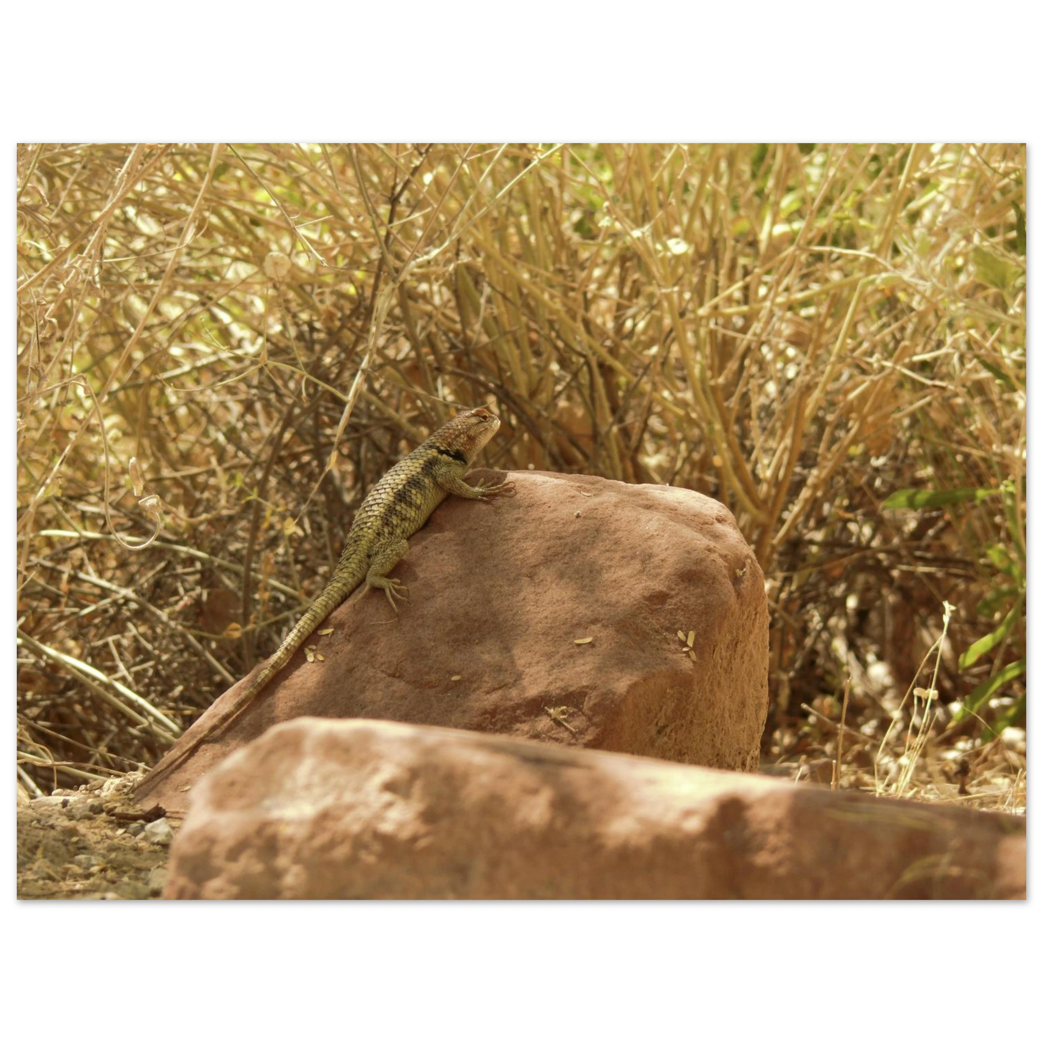 fe3eb186-e630-4365-a4e0-8a2019a83106