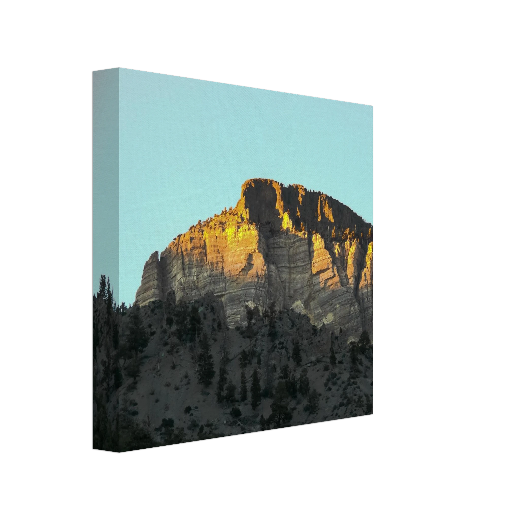 fe5c9c08-75a7-4369-b80c-6b4ea0d404ba