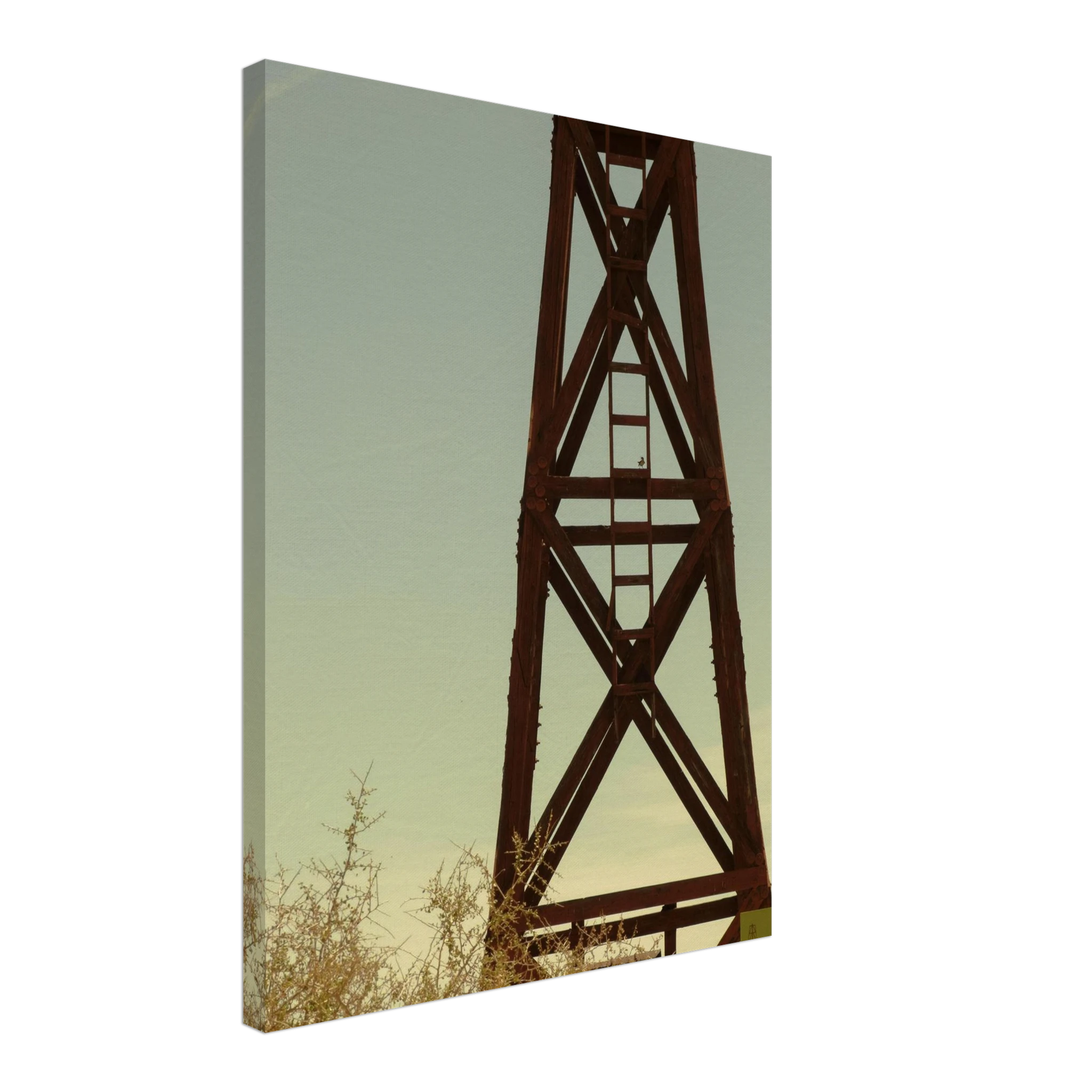 ff1c95d4-ac09-475f-a41d-4db968fff040